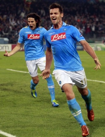 球迷和专业 球迷和专业